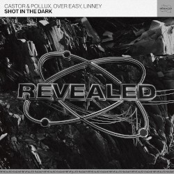 Shot in the Dark