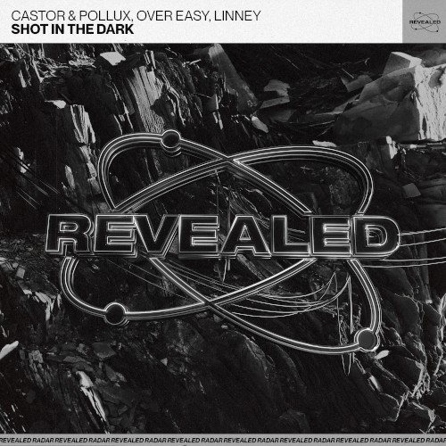 Shot in the Dark