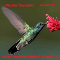 Global Sampler Vol. 11