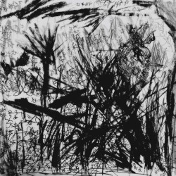 asphodel fields