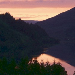 I Wish