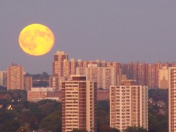 MOON PHASE MUSICS