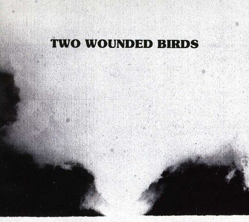 Two Wounded Birds