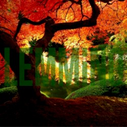 Salvation
