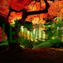 Salvation