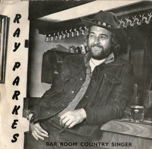 Bar Room Country Singer