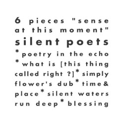 6 Pieces "sense at this moment"