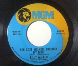 She Goes Walking Through My Mind / It’s Your Fault I’m Cheating