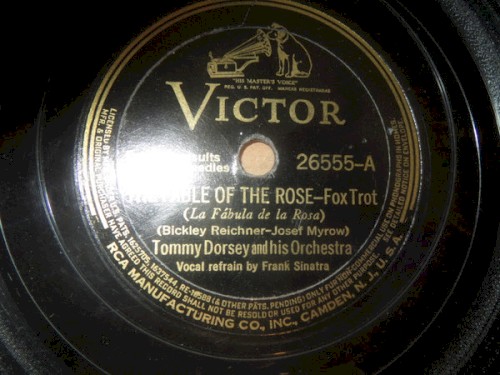The Fable of the Rose / This Is the Beginning of the End