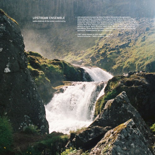 Upstream Ensemble