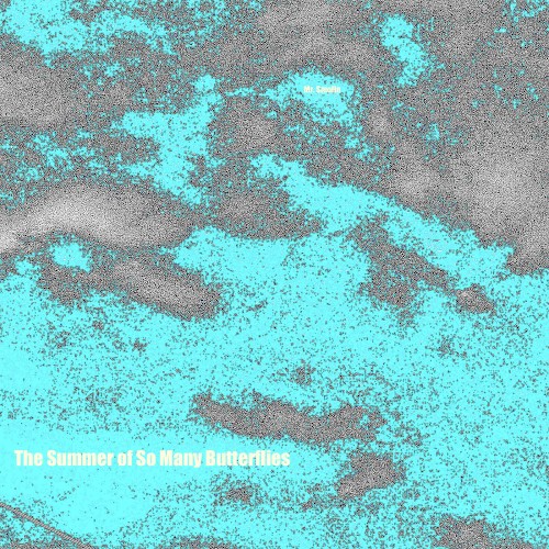 The Summer of So Many Butterflies