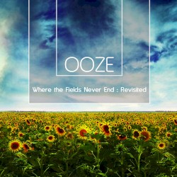 Where the Fields Never End : Revisited