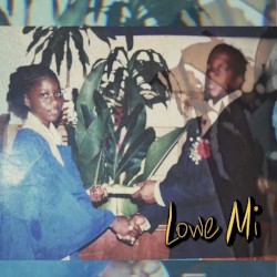 Lowe Mi