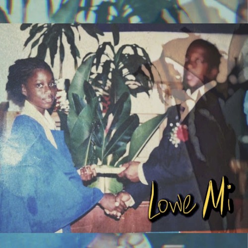 Lowe Mi