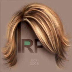 Indie/Rock Playlist: November 2008