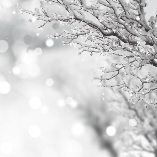 O Holy Night