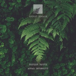 Aural Intensity