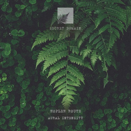 Aural Intensity