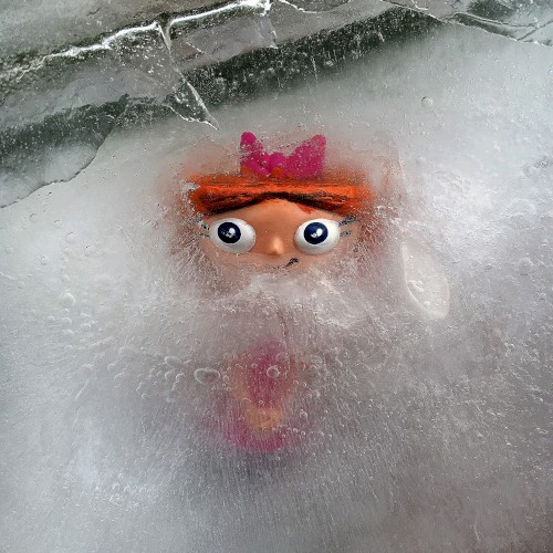 Polarbergs / Hot Wheels