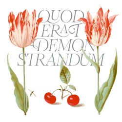 Q.E.D