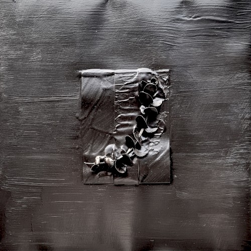 Various Grooves IV