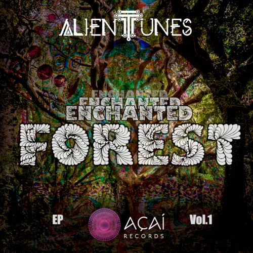 Enchanted Forest
