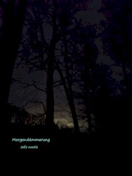 Morgendämmerung