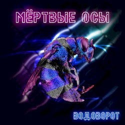 Водоворот