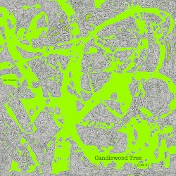 Candlewood Tree (Life 4)
