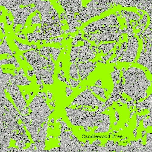Candlewood Tree (Life 4)