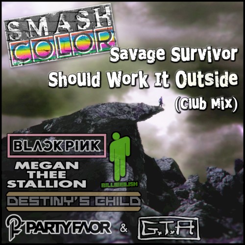 Savage Survivor Should Work It Outside (club mix) (BLACKPINK vs. Megan Thee Stallion vs. Billie Eilish vs. Destiny’s Child vs. Party Favor & GTA) 3:42