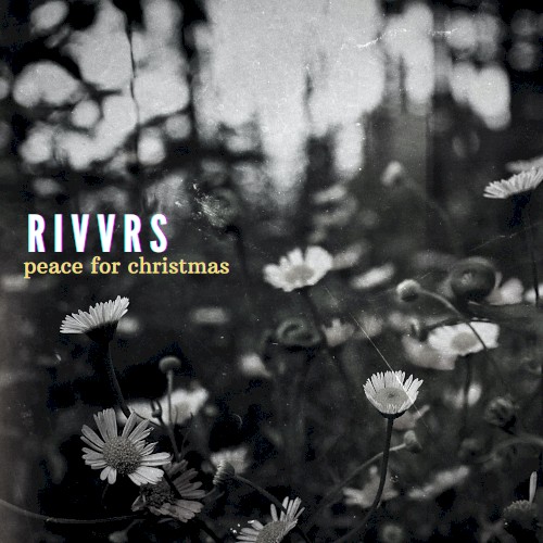 Peace for Christmas