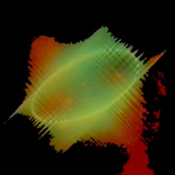 SLPHNC II