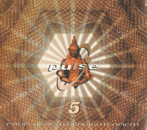 Pulse 5: From Here to Enlightenment