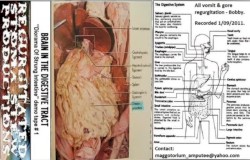 "Diorama Of Stung Intestines" Demo Tape # 1