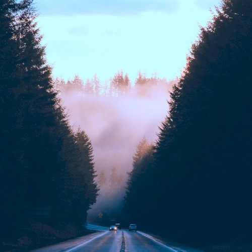 Bliss