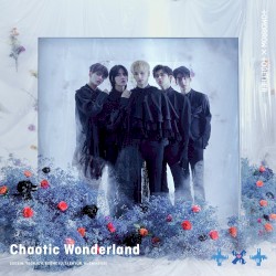Chaotic Wonderland
