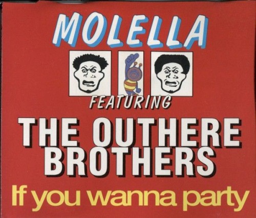 If You Wanna Party
