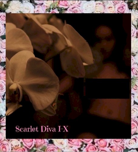 Scarlet Diva Collection
