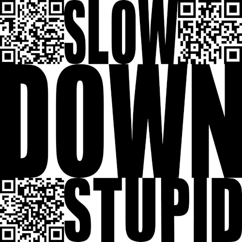 Slow Down Stupid