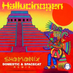Shamanix (Domestic & Space Cat remix)
