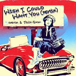 Wish I Could Want You (Remix)