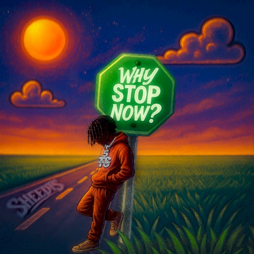 Why Stop Now?