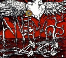 Animas