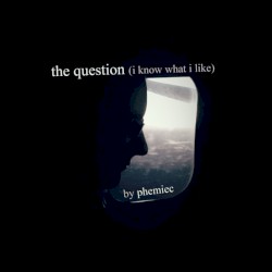 The Question (I Know What I Like)