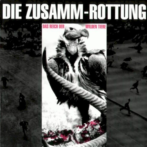 Im Reich der wilden Tiere