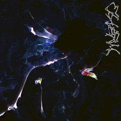 Chasm