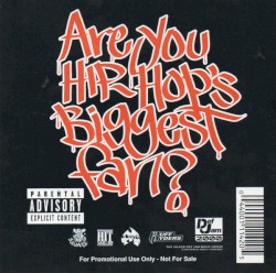 Are You Hip-Hop's Biggest Fan?