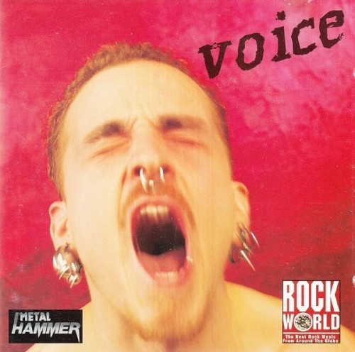 Voice