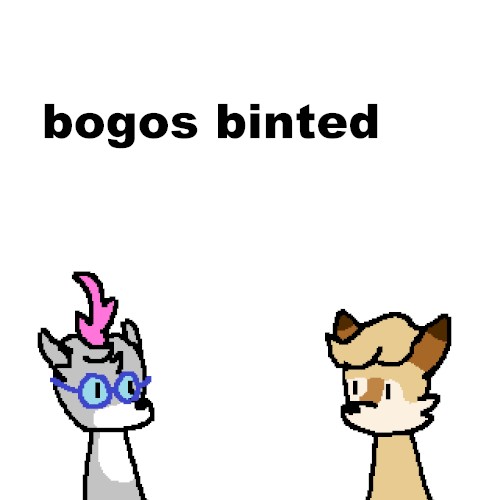 bogos binted